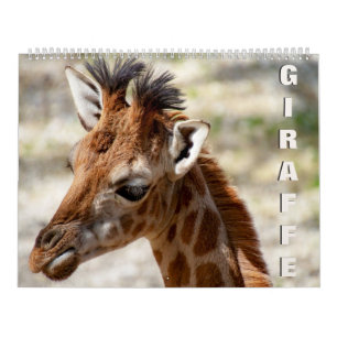 Giraffe Calendar