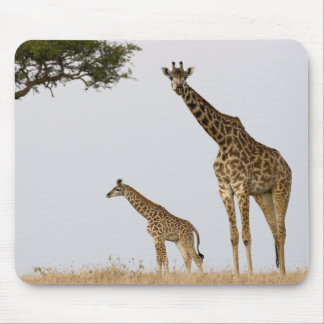 Giraffe Calf and Mama Mouse Pad