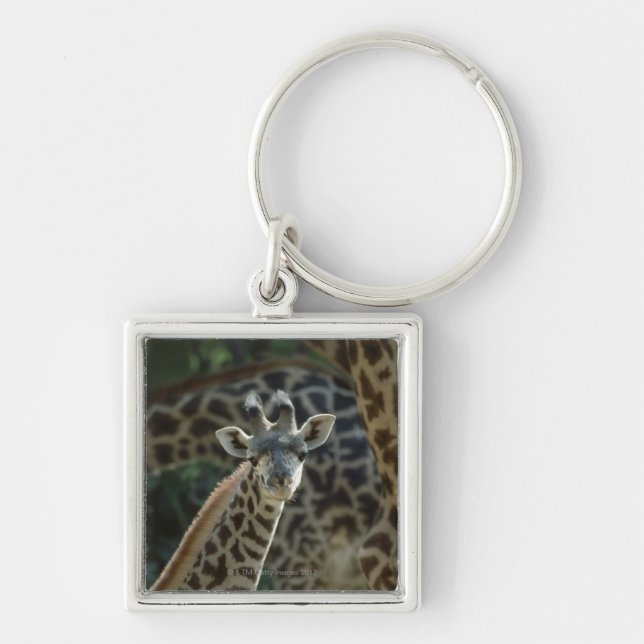 Giraffe calf with giraffes key ring (Front)