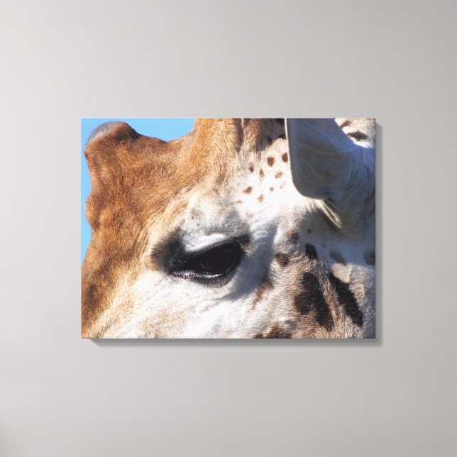 GIRAFFE   CANVAS PRINT (Front)
