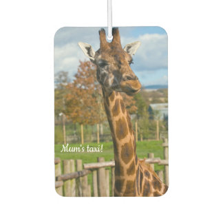 Giraffe Car air freshener