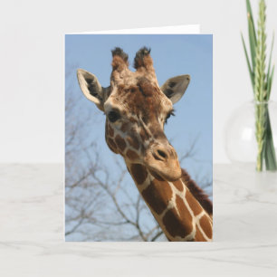 Giraffe Card