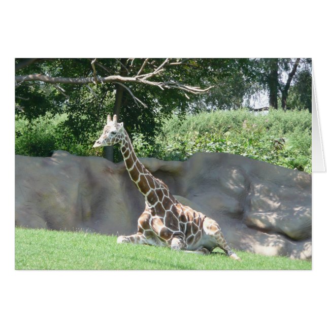 giraffe card (Front Horizontal)