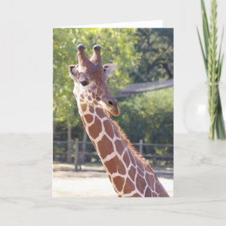 Giraffe Card