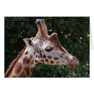 Giraffe Card