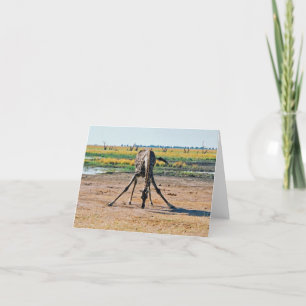 Giraffe Card