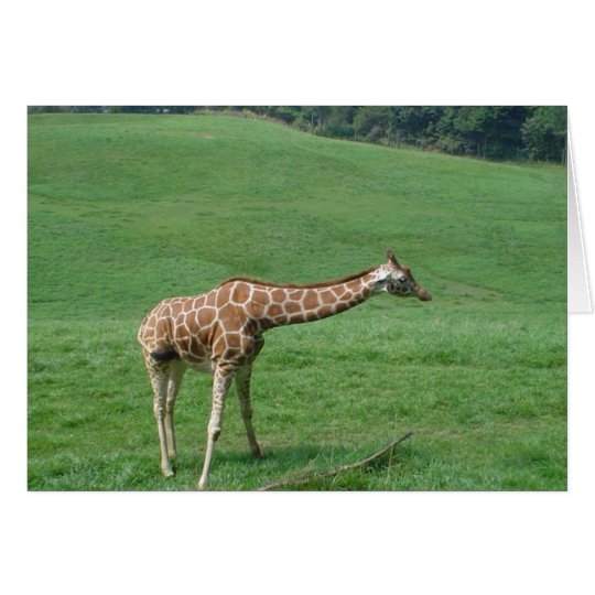 Giraffe Card! Card
