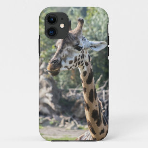 Giraffe iPhone 11 Case
