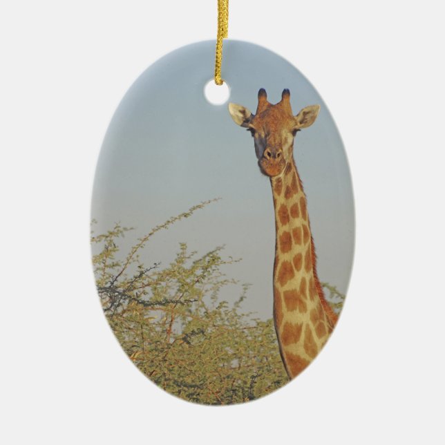GIRAFFE  CERAMIC ORNAMENT (Front)
