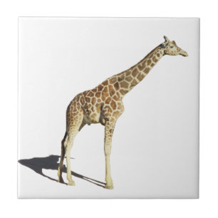 Giraffe Ceramic Tile