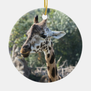 Giraffe Ceramic Tree Decoration