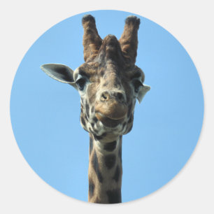 GIRAFFE CLASSIC ROUND STICKER