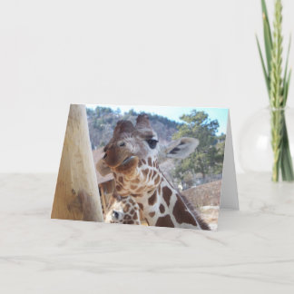 Giraffe Close Up Card
