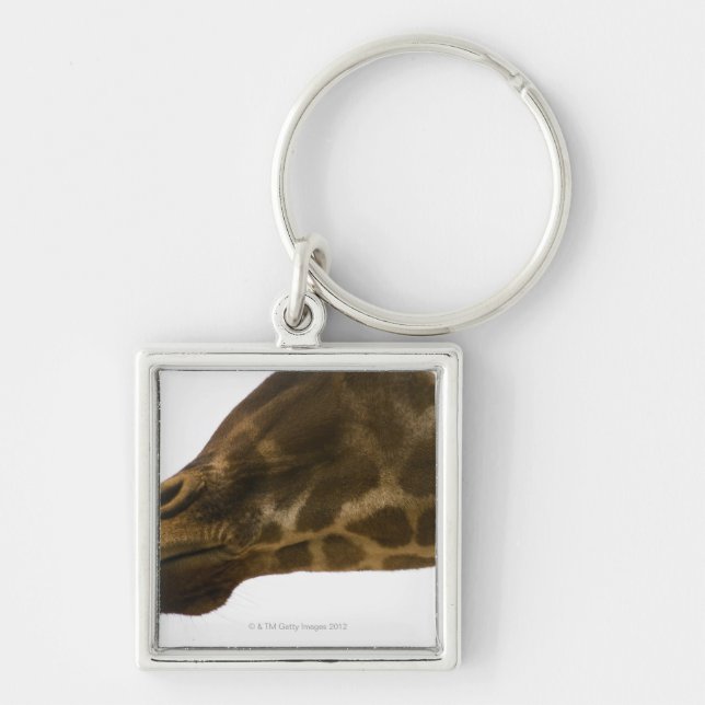 Giraffe,close up key ring (Front)
