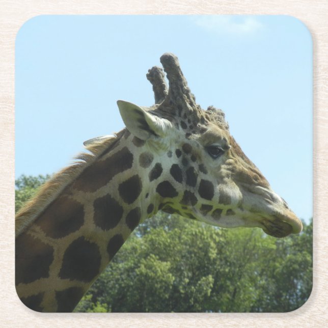 Giraffe Coaster Set (Front)