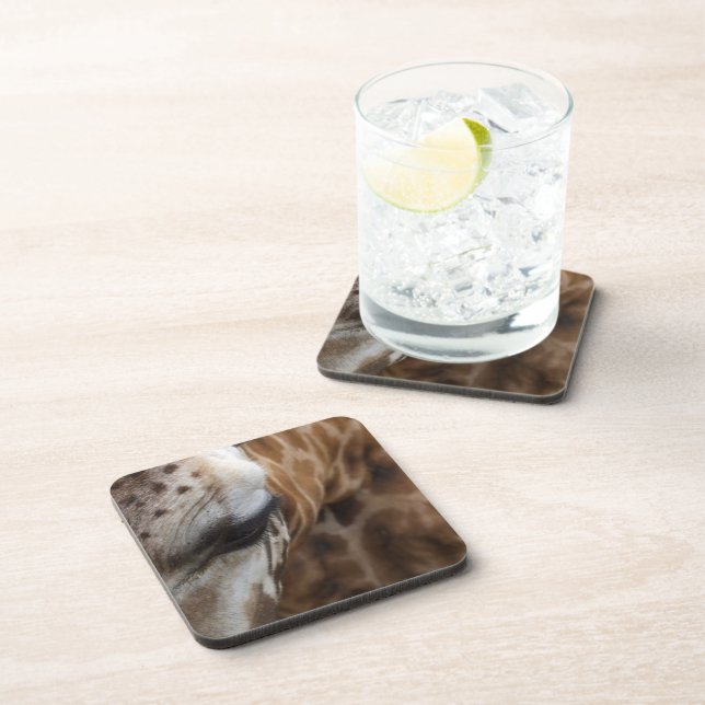 Giraffe Coasters (Right Side)