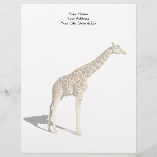 Giraffe Custom Letterhead