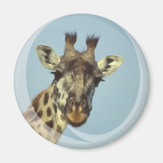 Giraffe Design  Magnet (Front)