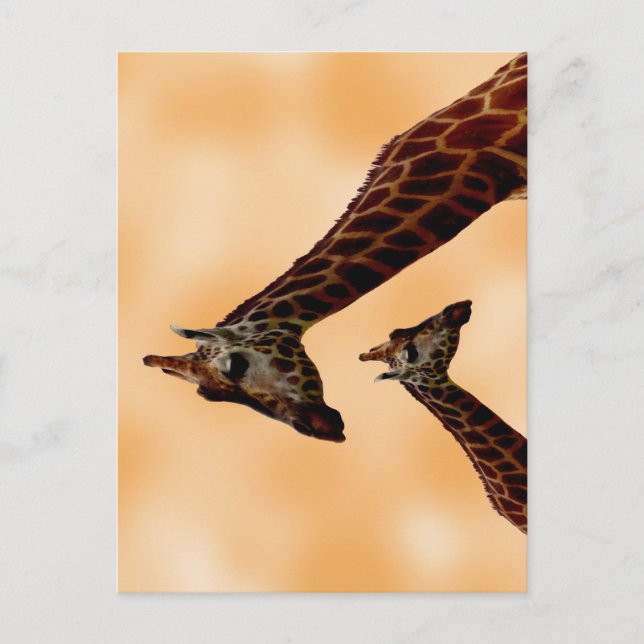 Giraffe Double Trouble,  Postcard (Front)