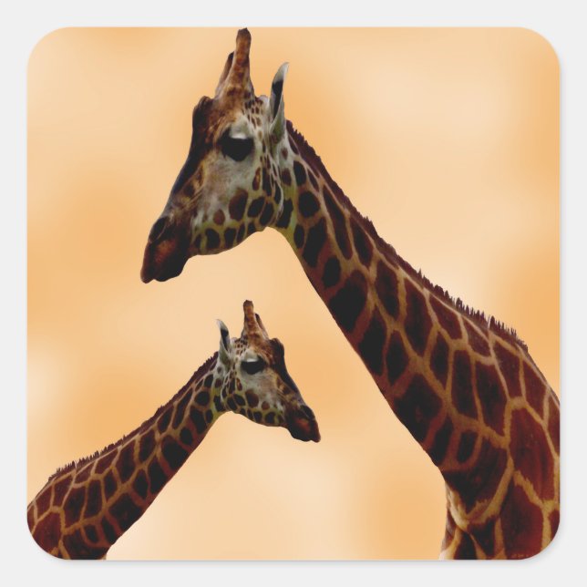 Giraffe Double Trouble,  Square Sticker (Front)
