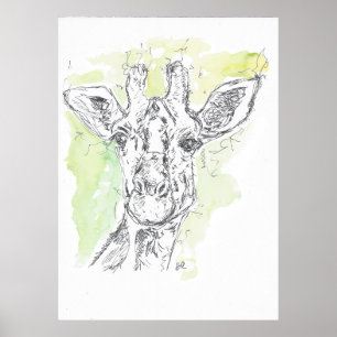 Giraffe drawing. poster