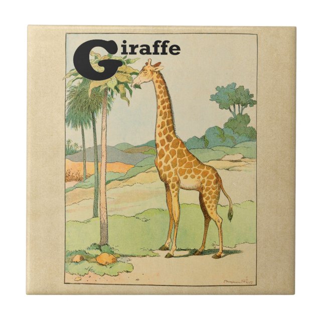Giraffe Eating Acacia in the Desert Ceramic Tile (Front)