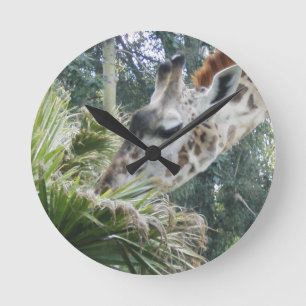 Giraffe Eating Lunch Wall Clock