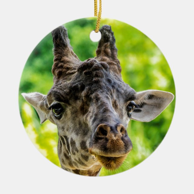 Giraffe Eyelashes Ceramic Tree Decoration (Front)