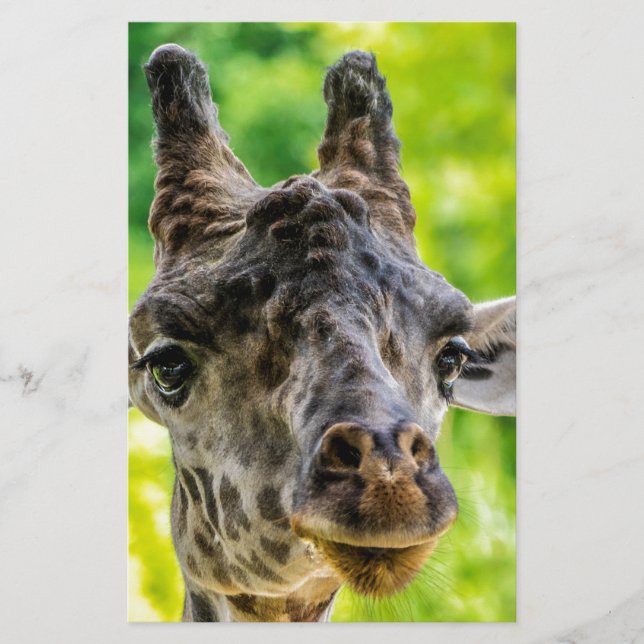 Giraffe Eyelashes Stationery (Front)