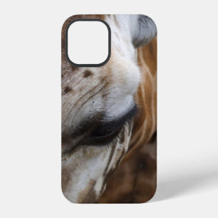 Giraffe Face Phone Case