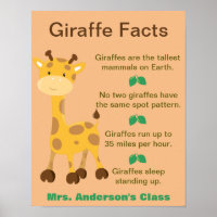Giraffe Facts Classroom