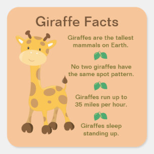 Giraffe Facts  Square Sticker