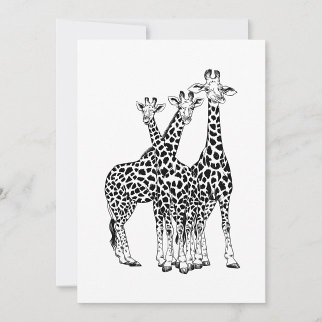 Giraffe family (Front)