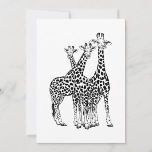Giraffe family