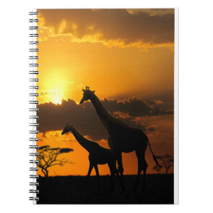 Giraffe Family 2 Notebook