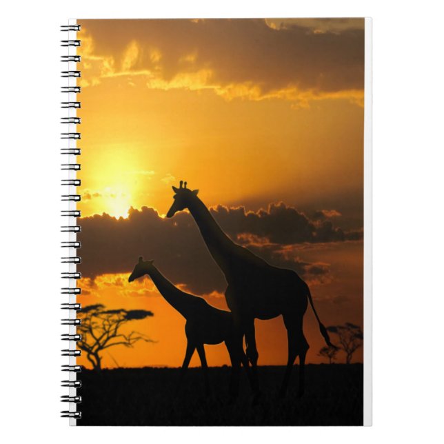 Giraffe Family 2 Notebook (Front)
