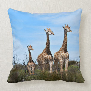 Giraffe Family On Grassy Hilltop Cushion