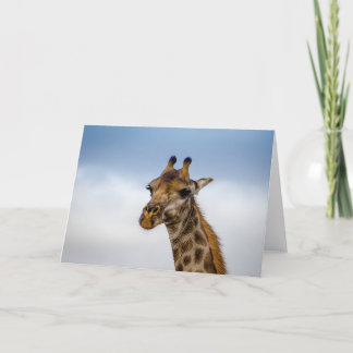 Giraffe from South Africa Card
