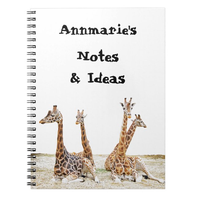 Giraffe Fun Photo -  Four Giraffe's Sitting Notebook (Front)