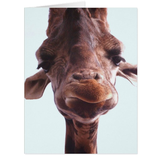 Giraffe Funny Face (Front)