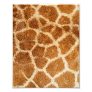 Giraffe Fur Print
