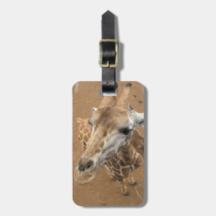 Giraffe Gaze Luggage Tag