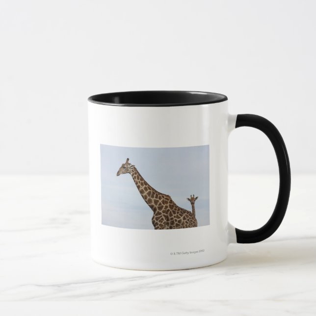 Giraffe (Giraffa camelopardalis), Chobe National Mug (Right)
