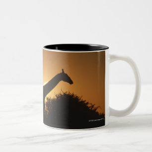 Giraffe (Giraffa camelopardalis) Pair Two-Tone Coffee Mug