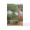Giraffe Graduation Card