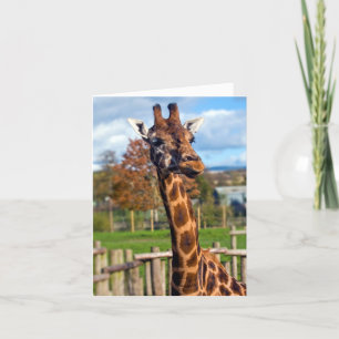 Giraffe Greeting Card