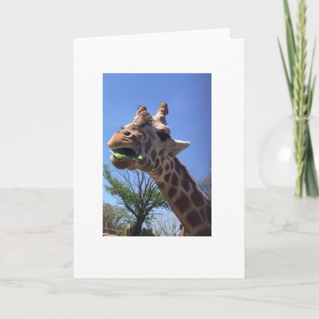 Giraffe Greeting Card (Front)