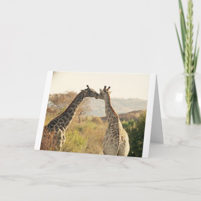 Giraffe Greeting Card - Stick Your Neck Out (Front)