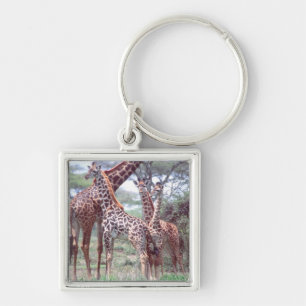 Giraffe Group or Herd w/ Young, Giraffa Key Ring