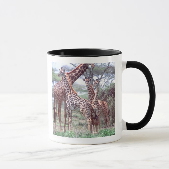 Giraffe Group or Herd w/ Young, Giraffa Mug (Right)